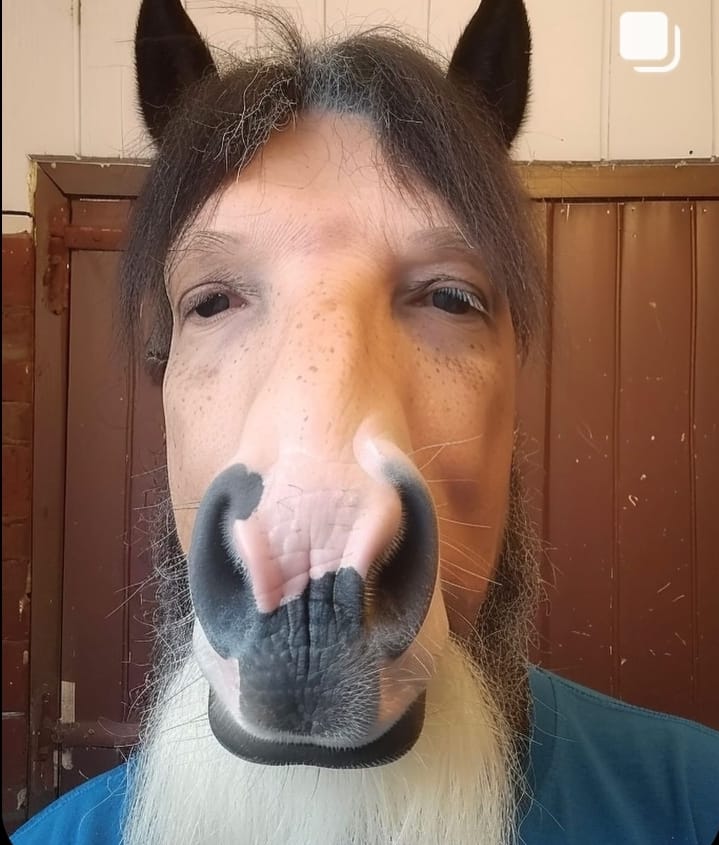 NajaHorse
