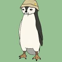 Pingvii