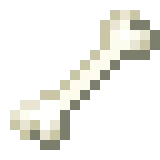 bone
