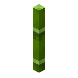 bamboo