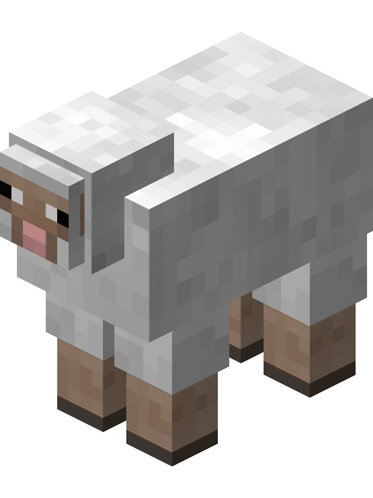 wool
