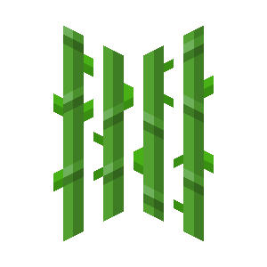 sugar-cane