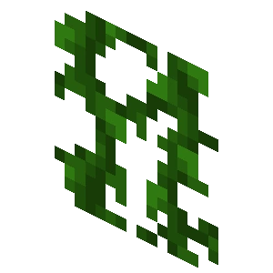 vine