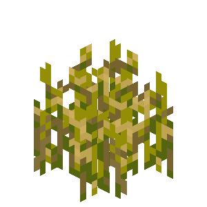 wheat