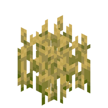 crop-farming